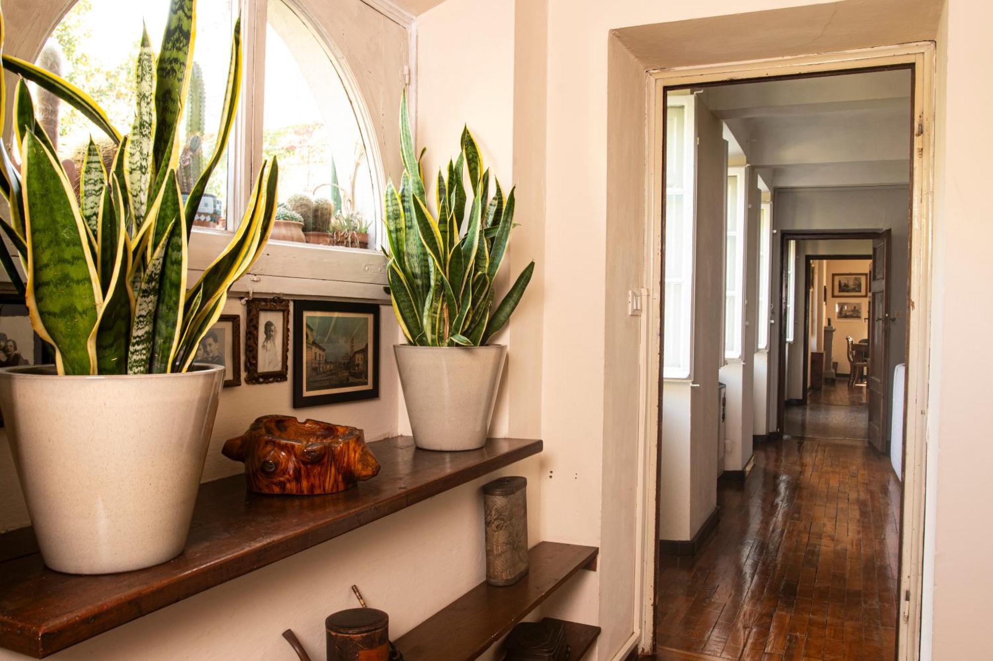 Palazzo Micheletti Lucca Apartment Екстериор снимка
